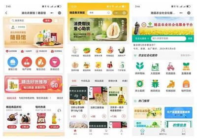 &ldquo;五個以&rdquo;實踐體系的隨縣答卷 | 強&ldquo;鏈條&rdquo;通&ldquo;經絡&rdquo;--奮力打造城鄉(xiāng)供應鏈一體化平臺的&ldquo;隨縣實踐&rdquo;