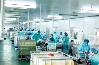 鹿邑“歸雁”返鄉創業潮 深耕中草藥萃取與日用百貨電商新篇章